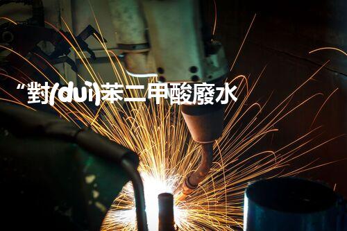 “對(duì)苯二甲酸廢水處理，綠色創(chuàng)新引領(lǐng)環(huán)保新篇章”
